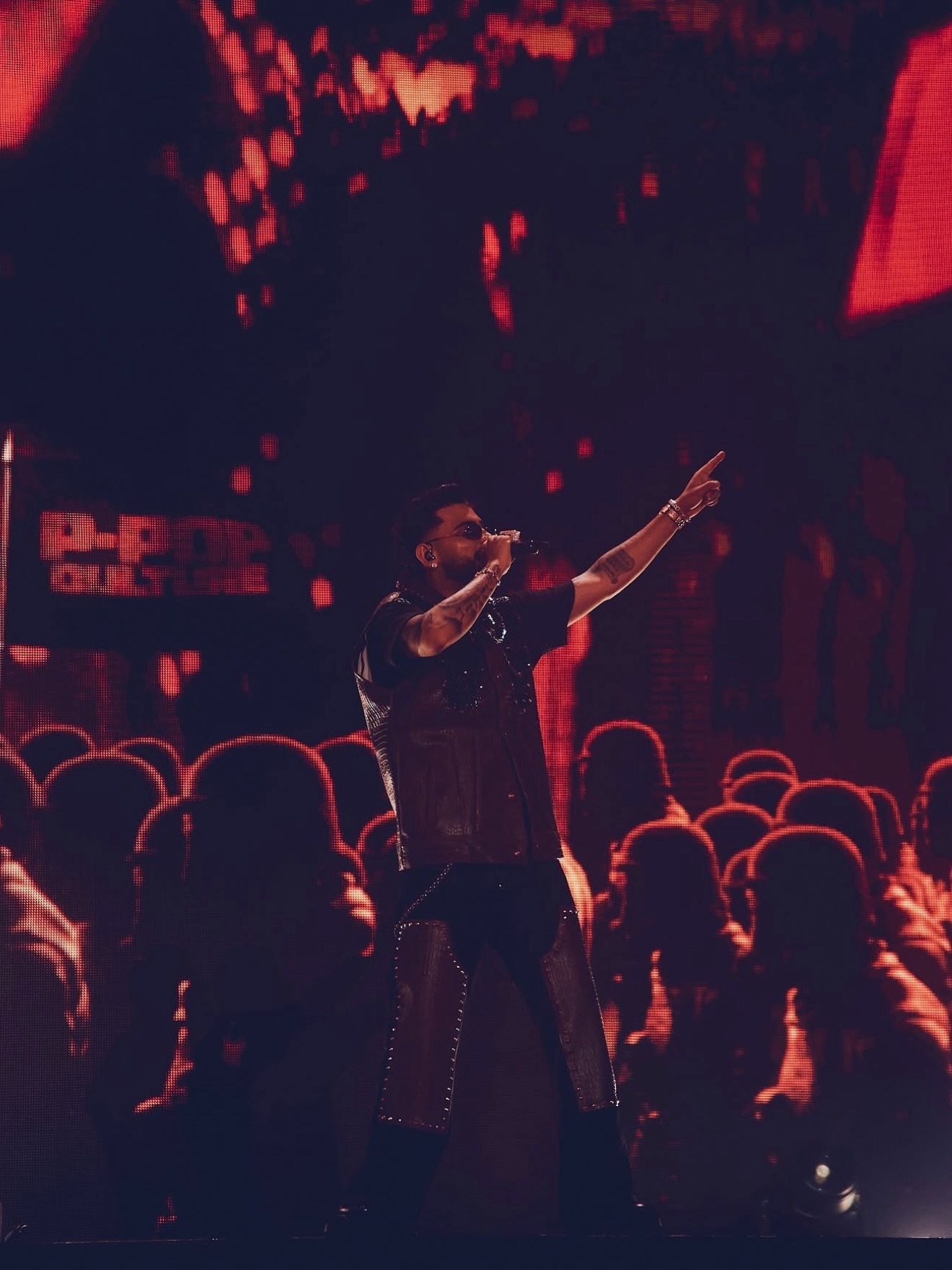 Karan Aujla concert photo 6