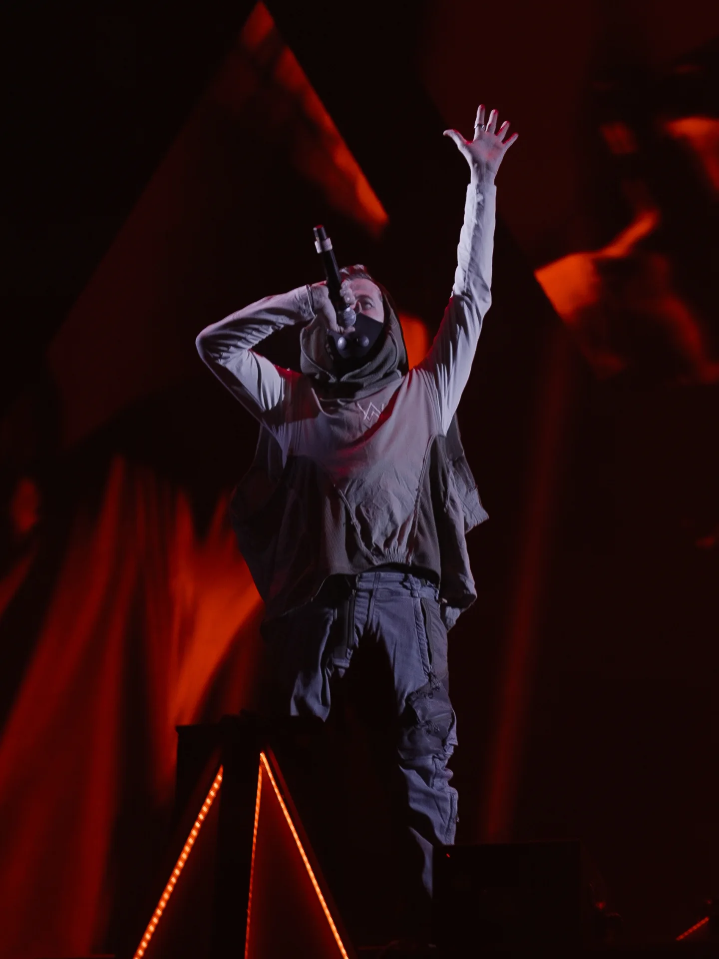 Alan Walker concert photo 2